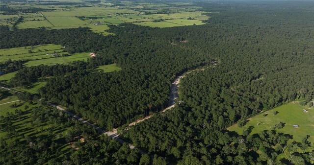 TBD13.75 Fm 362 Rd Rd, Waller, TX 77484 - photo 14