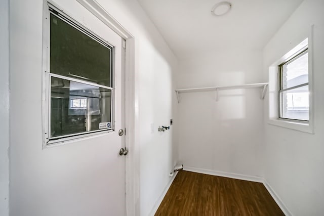 laundry room featuring dark hardwood / wood-style flooring