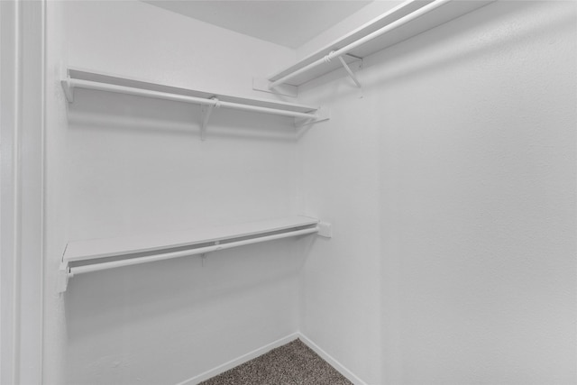 spacious closet with carpet flooring