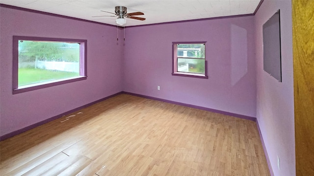 unfurnished room featuring crown molding, ceiling fan, and light wood-type flooring