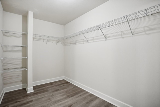 spacious closet with dark wood-type flooring