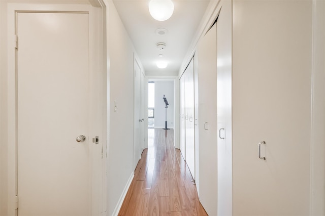 hall featuring light wood-type flooring and ornamental molding