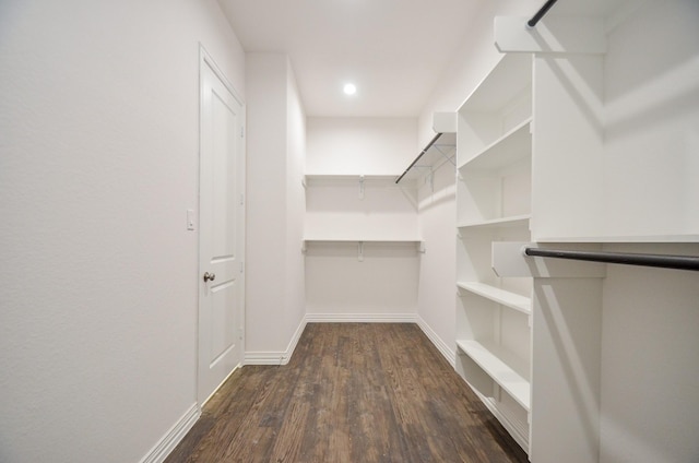 walk in closet with dark hardwood / wood-style flooring