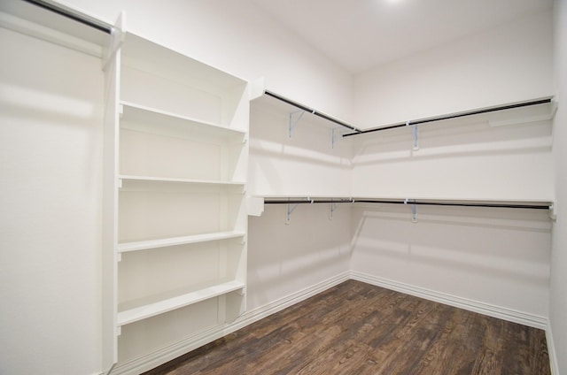 spacious closet featuring dark hardwood / wood-style floors