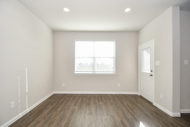 foyer entrance featuring dark wood-type flooring