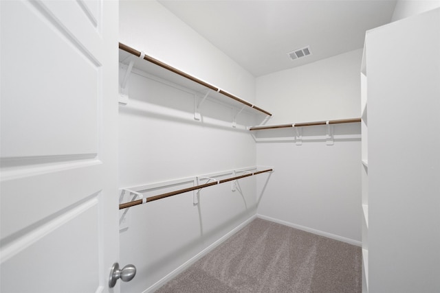 walk in closet featuring carpet floors