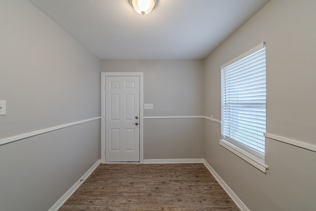 entryway featuring wood-type flooring and a wealth of natural light