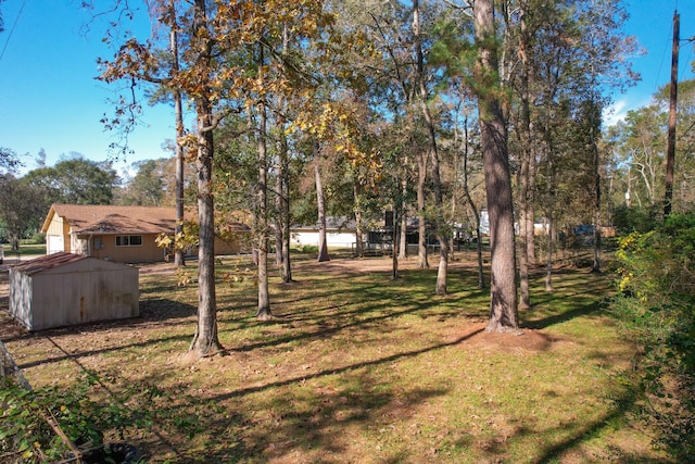 view of yard featuring a storage unit