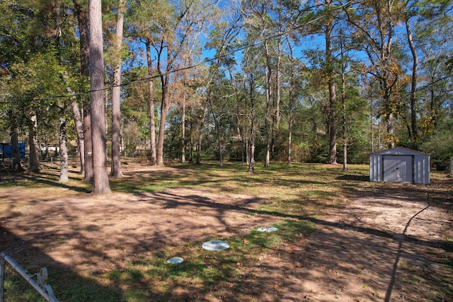 view of yard with a storage shed