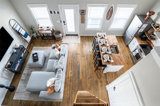 living room with hardwood / wood-style floors and sink