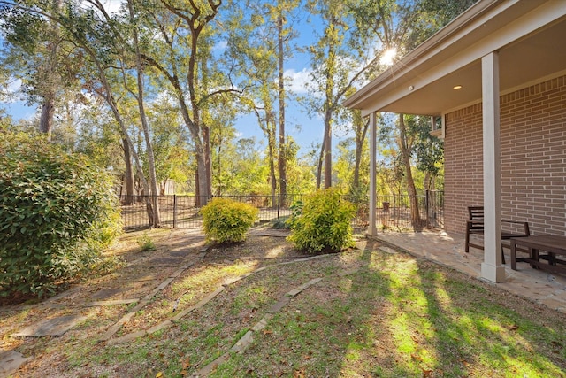 view of yard featuring a patio