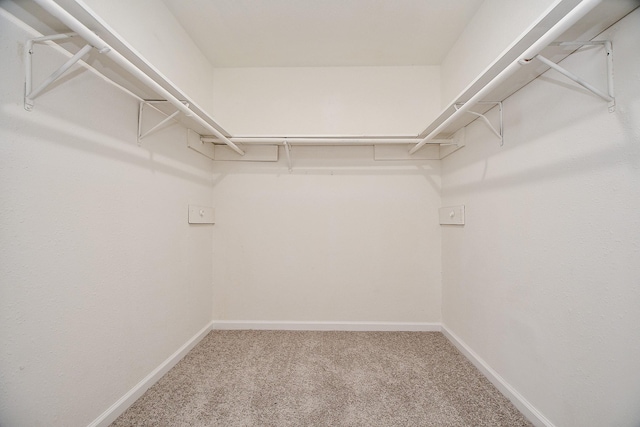 walk in closet featuring carpet floors