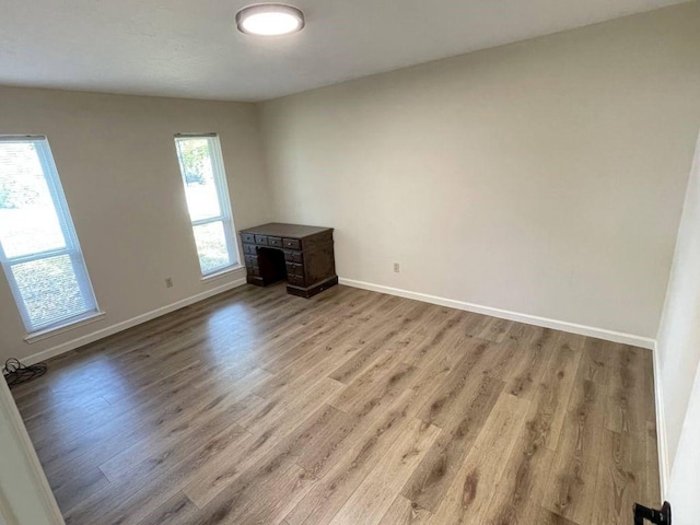 empty room featuring light wood-type flooring and plenty of natural light