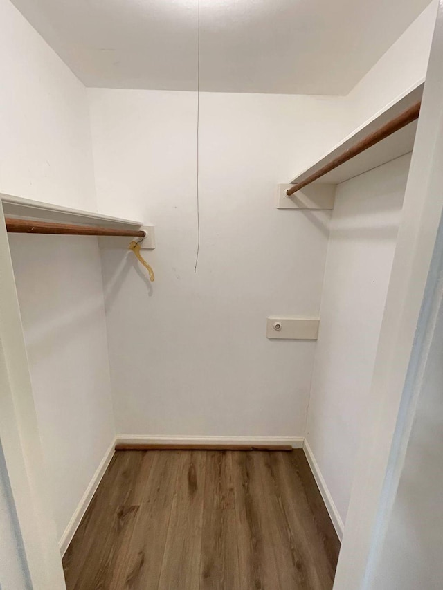 walk in closet featuring dark hardwood / wood-style flooring