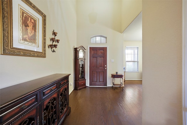 foyer entrance featuring dark hardwood / wood-style floors