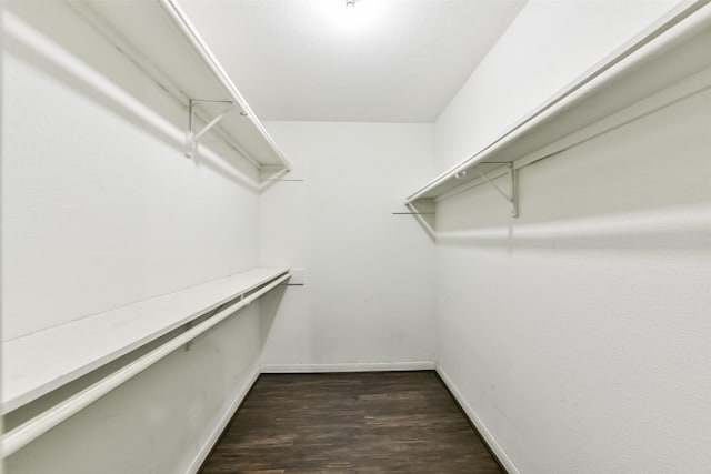 walk in closet with dark hardwood / wood-style flooring