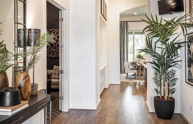 corridor featuring dark hardwood / wood-style flooring