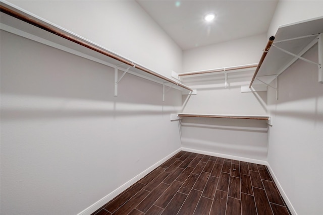 spacious closet featuring dark wood-type flooring