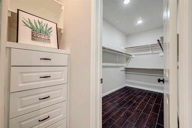 walk in closet with wood-type flooring