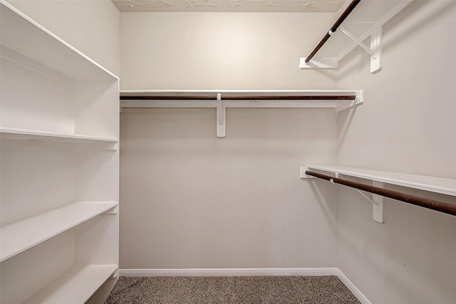 spacious closet featuring carpet flooring