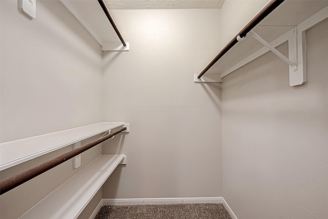 spacious closet featuring carpet