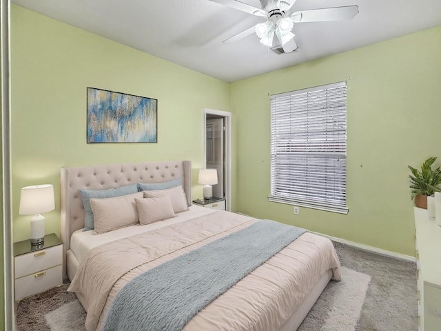 carpeted bedroom with ceiling fan and a walk in closet