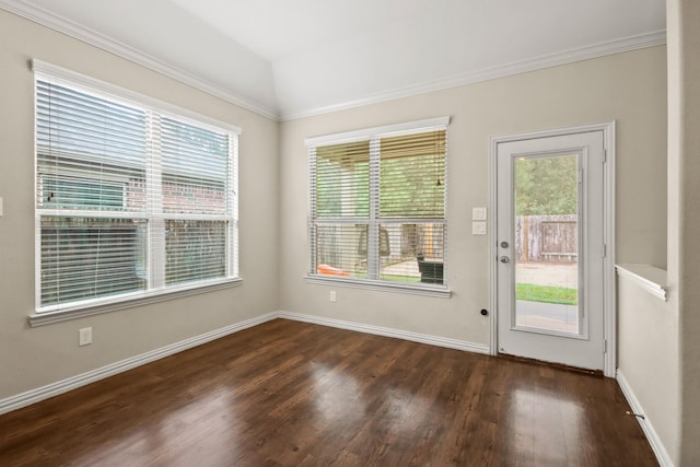 doorway featuring crown molding, dark wood-type flooring, a wealth of natural light, and vaulted ceiling