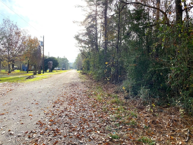 LOT21 Lula Dr, Huntsville, TX 77320 - photo 2