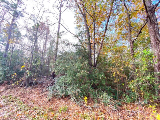 LOT21 Lula Dr, Huntsville, TX 77320 - photo 4