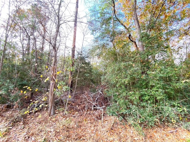 LOT21 Lula Dr, Huntsville, TX 77320 - photo 3