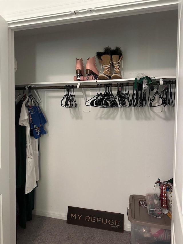 view of closet