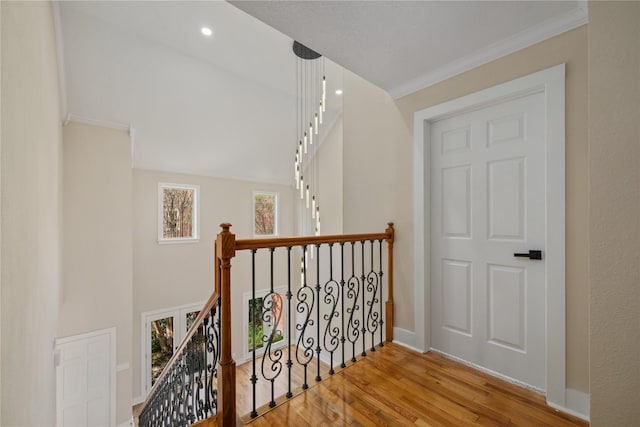 hall with hardwood / wood-style flooring and ornamental molding