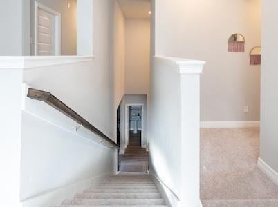 staircase featuring carpet floors