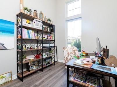 office space featuring wood-type flooring