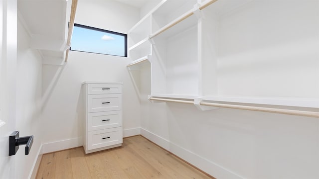 walk in closet with light wood-type flooring