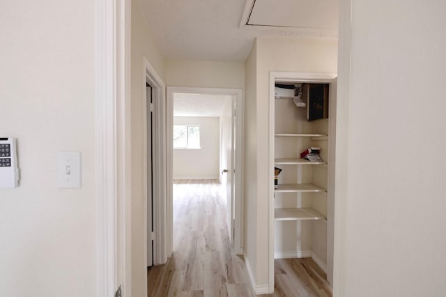 corridor featuring light hardwood / wood-style flooring