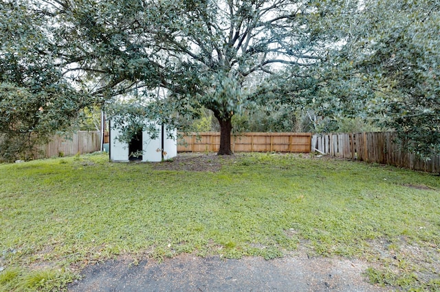 view of yard featuring a storage unit