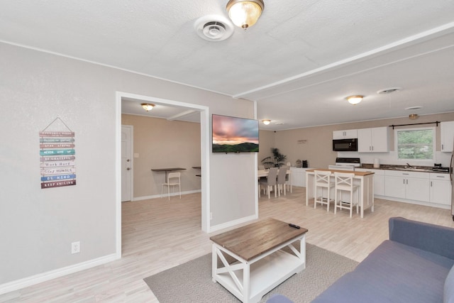 living room with a textured ceiling and light hardwood / wood-style flooring