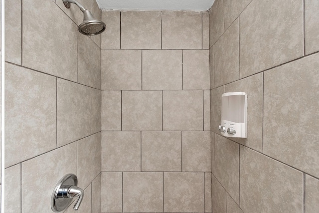 interior details featuring a tile shower