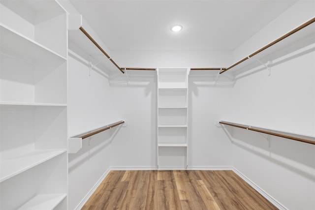 walk in closet featuring wood-type flooring