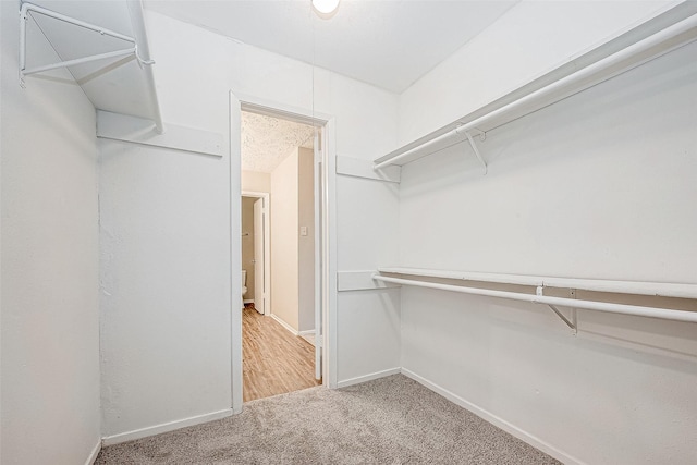 spacious closet with carpet floors