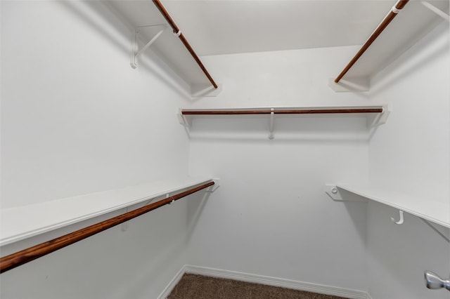 walk in closet featuring dark colored carpet