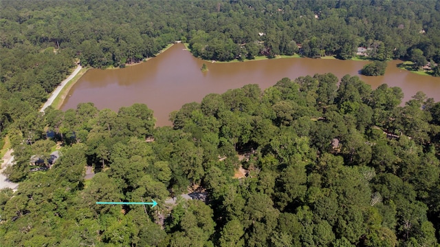 birds eye view of property with a water view and a view of trees