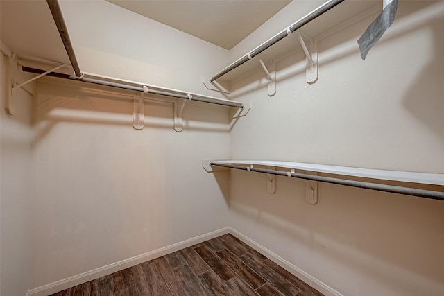 spacious closet featuring dark hardwood / wood-style flooring