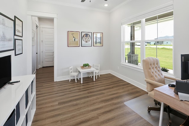 office space featuring dark hardwood / wood-style flooring, ceiling fan, and crown molding