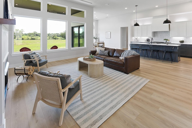 living room featuring light hardwood / wood-style flooring and sink