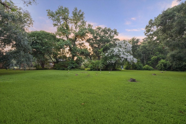 view of yard at dusk