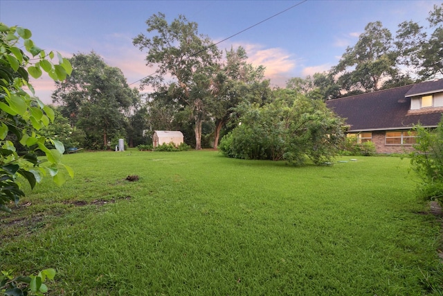 view of yard featuring a storage unit