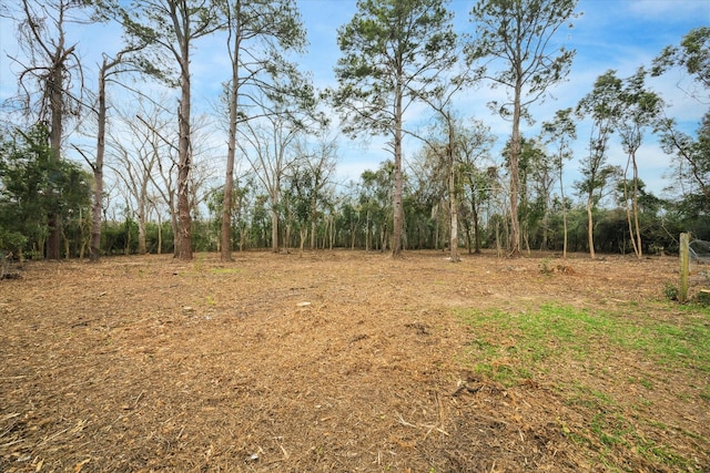 view of local wilderness