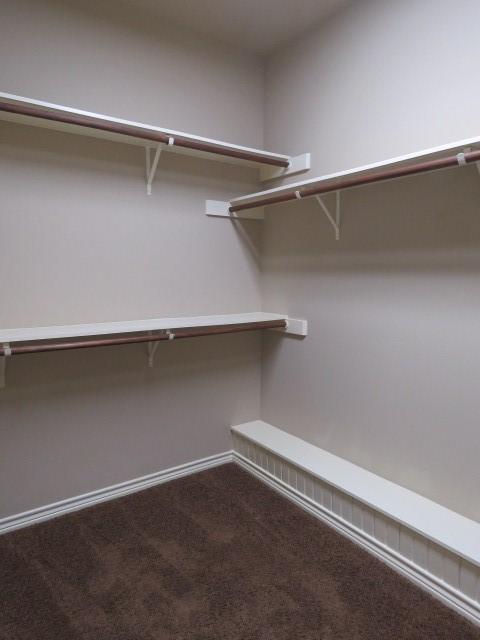 spacious closet with carpet flooring